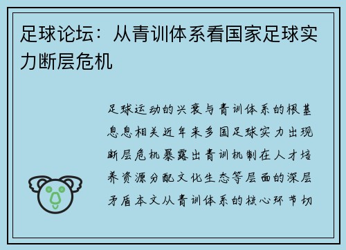 足球论坛：从青训体系看国家足球实力断层危机