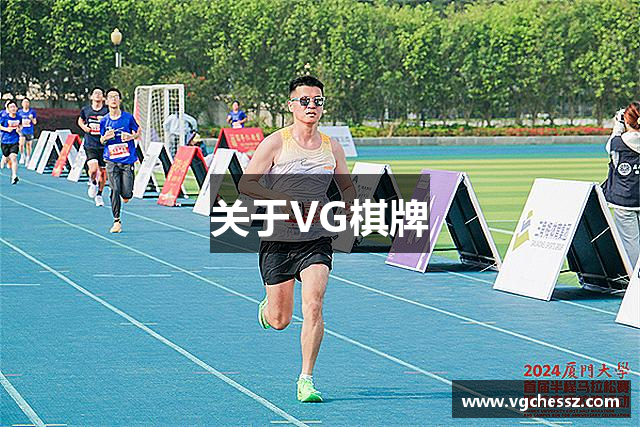 关于VG棋牌